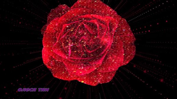 Крутящиеся цветы