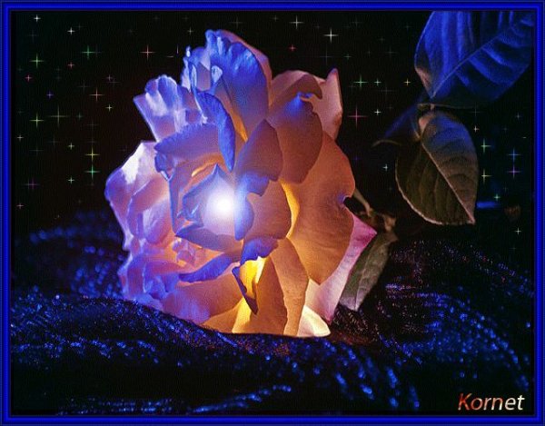 Цветы мерцающие в ночи