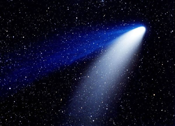 Звезды мультяшные