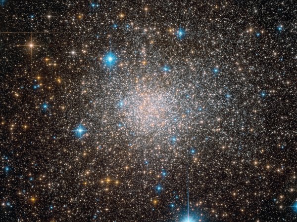 Звезда Проксима