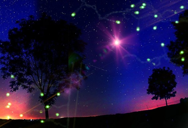 Звезда с неба