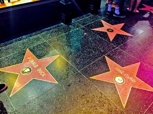 Звезда на аллее славы в Голливуде