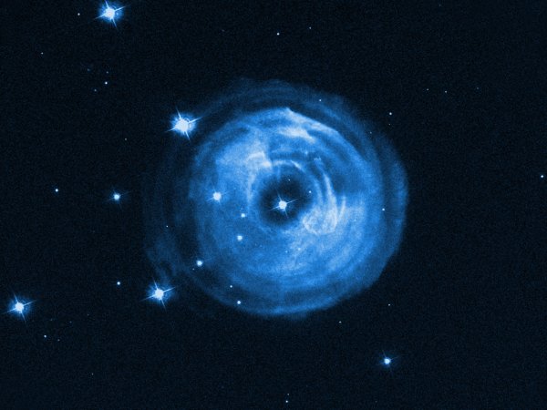 Звезда v838 mon