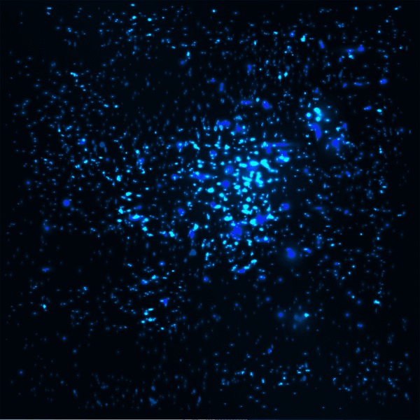 Звездное небо