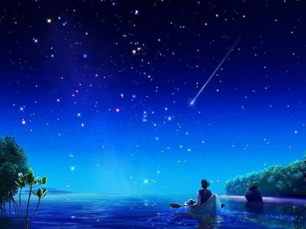 Стремление к звездам