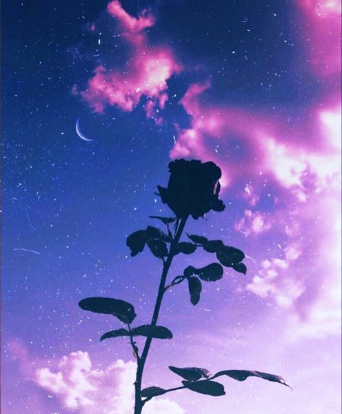 Обои для Айпада