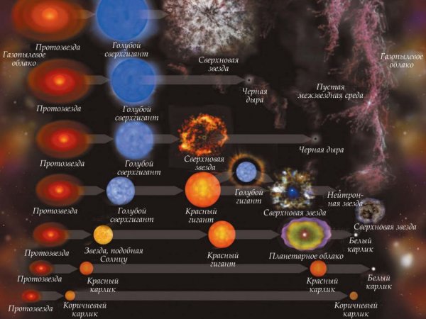 Эволюция звезд протозвезда
