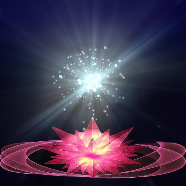 Магический цветок счастья