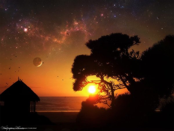 Ночное солнце