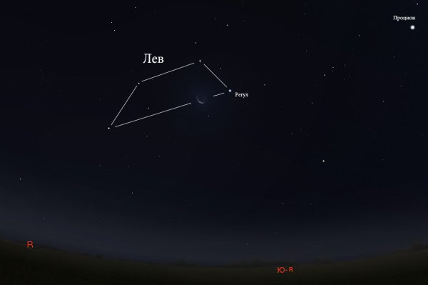 Регул звезда в созвездии