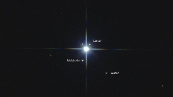 Звезда Васат фото