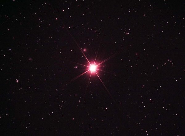 Регул (звезда)