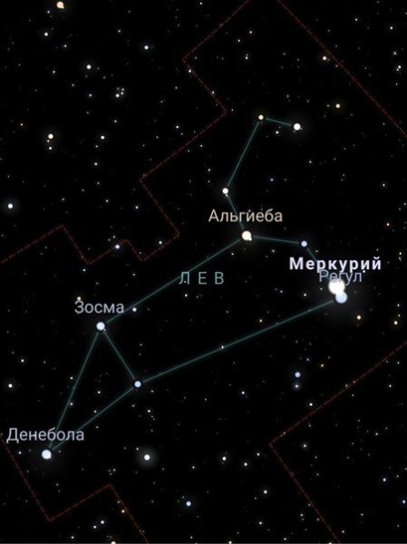 Денебола Королевская звезда