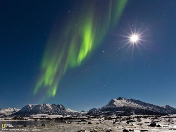 Звезда севера