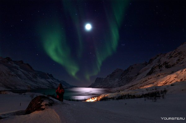 Полярная звезда в тундре