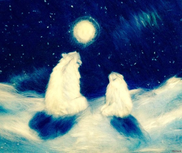 Умка и Северное сияние