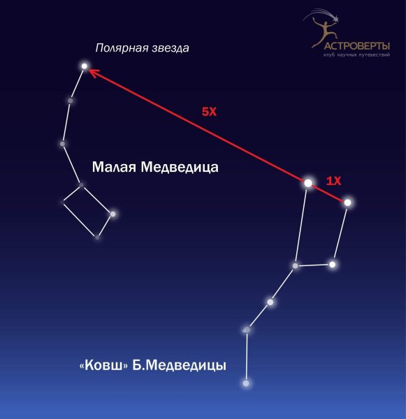 Большая Медведица большой ковш малая Медведица
