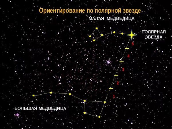 Большая и малая Медведица Полярная звезда