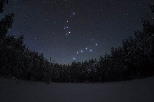Малая Медведица Созвездие