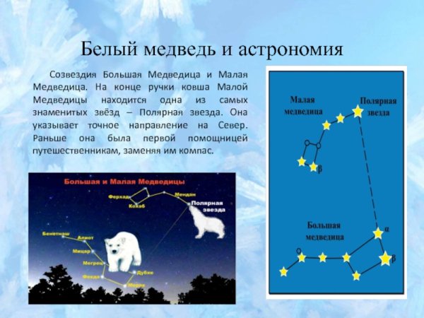 Созвездие большая Медведица и малая Медведица
