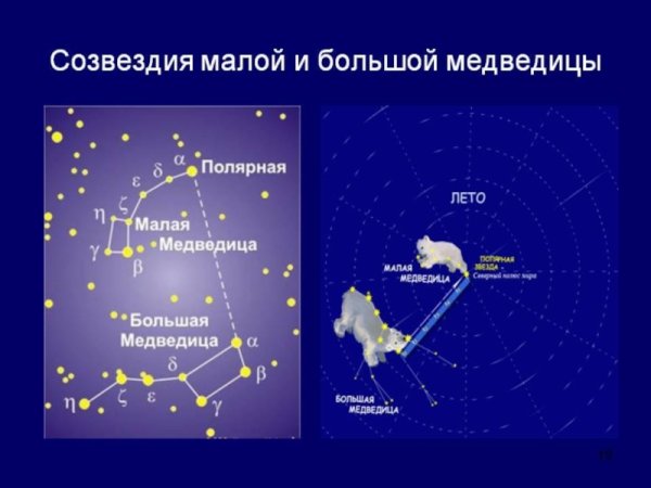 Созвездие большой и малой медведицы