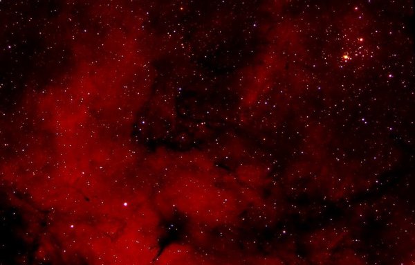 Эмиссионная туманность розетка (NGC 2237, C 49)
