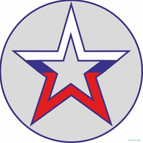 Орден Мужества Чечня