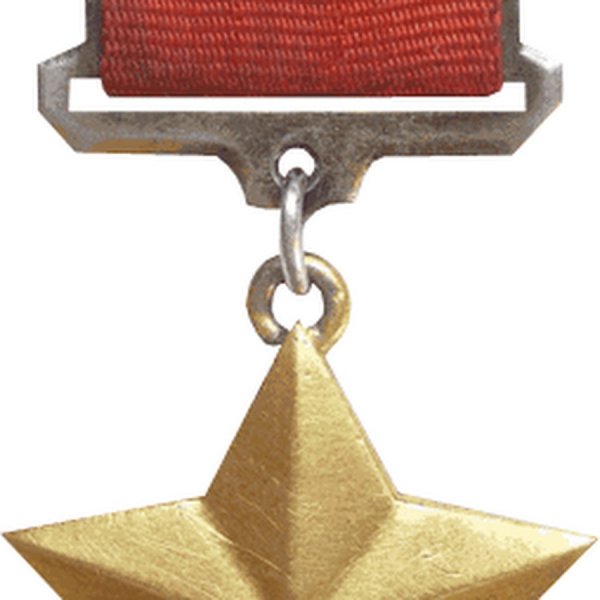 Медаль Золотая звезда города героя