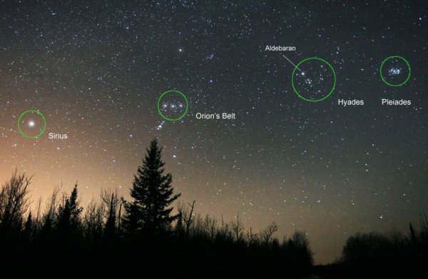 Звезда Сириус и Орион