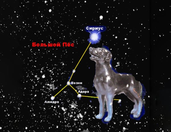 Сириус звезда в созвездии большого пса