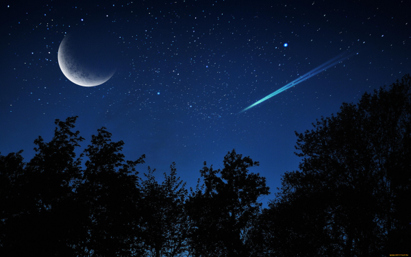 Звезды на ночном небосклоне