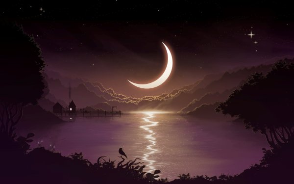 Лунная летняя ночь