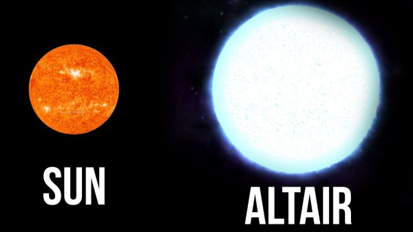 Альтаир звезда