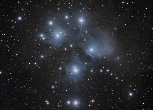 Альтаир Созвездие орла