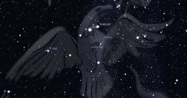 Звезда Альтаир в созвездии орла