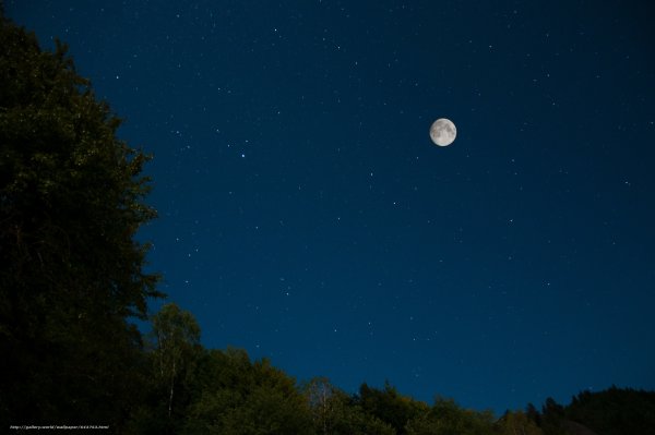 Ночная Луна