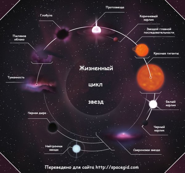 Этапы жизненного цикла звезды схема