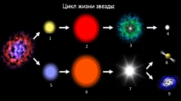Этапы звездной эволюции