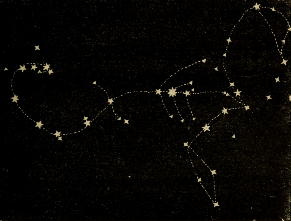 Созвездие Скорпион яркие звезды