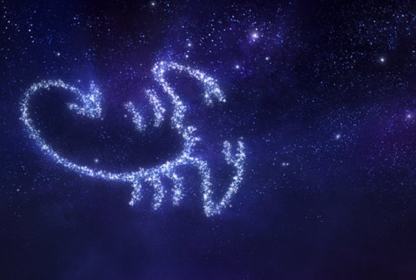 Лучшие друзья для скорпиона