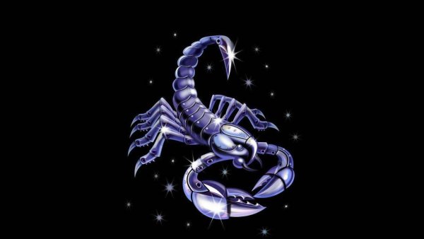 Скорпион знак зодиака Созвездие