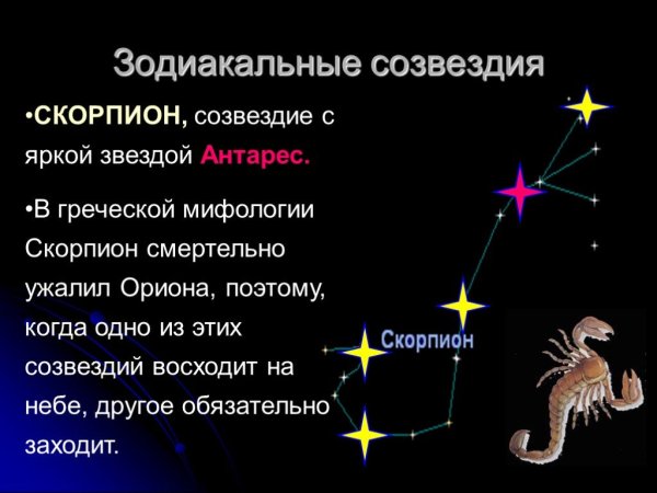 Скорпион знак зодиака Созвездие