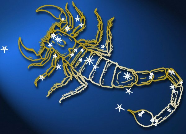 Скорпион знак зодиака Созвездие