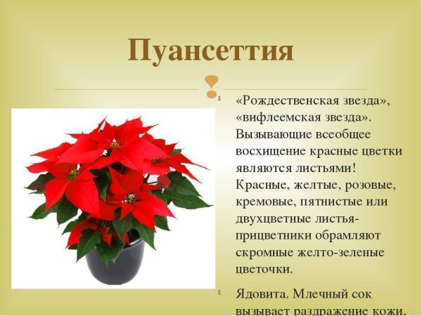Советская звезда пятиконечная звезда