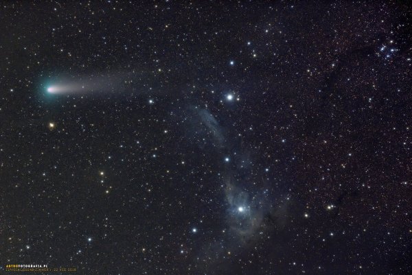 Созвездие Телец и возничий