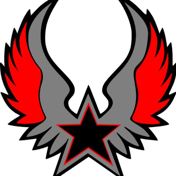 Кокарда ВВС на тулью