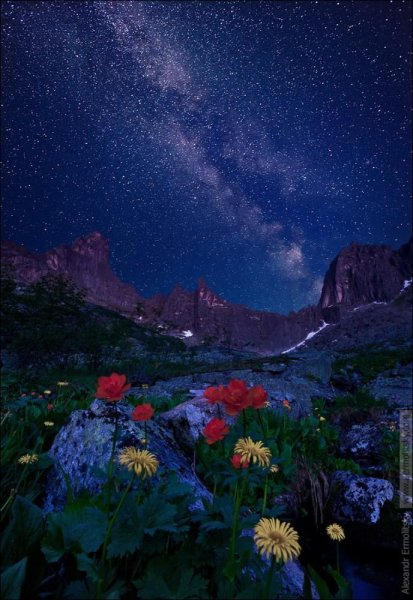 Сказочная ночь