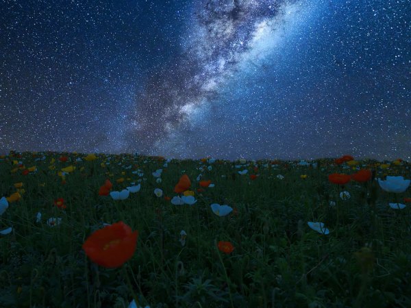 Волшебный букет