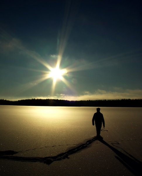 Стремление к звездам