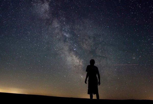 Рука тянется к небу